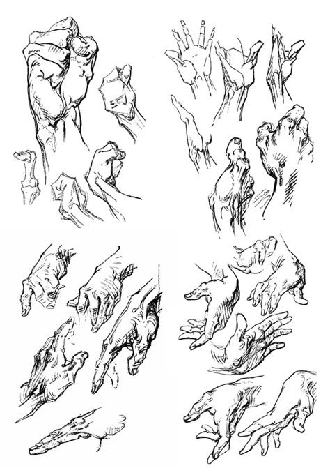 helila: “ Hand references from the book Constructive Anatomy by Bridgman. ” Bridgman Anatomy, Constructive Anatomy, Studying Anatomy, George Bridgman, Good References, Artistic Anatomy, Hand Anatomy, Hand References, Anatomy Tutorial