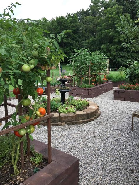 Courtyard Veggie Garden, Country Property Landscaping, Potager Layout, Front Yard Garden Vegetable, Small Raised Bed Garden, Home Vegetable Garden Design, Backyard Raised Garden, Potager Garden, Farmhouse Garden