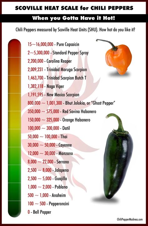 The Scoville Scale - Learn more about the Scoville scale and Scoville unit, and where the chili peppers fall within the chili pepper heat scale universe. Learn what is the Scoville Scale, a list of chili peppers and their Scoville Heat Units (SHUs) from hottest to mildest and more. #Scoville #ScovilleScale Pepper Scale, Types Of Peppers, Chile Peppers, Hot Sauce Recipes, Ghost Peppers, Chile Pepper, Food Scale, Chilli Pepper, Chili Peppers