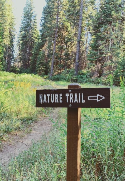 Hiking Aesthetic California, Campcore Aesthetic, Report Aesthetic, California Hiking Trails, Outdoors Aesthetic, California Outdoor, Trail Signs, California Hikes, Park Rangers