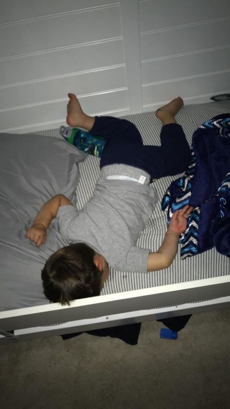 My Kid Sleeps Like He Fell Down In Family Guy Sleep Meme, Boyfriend Sleeping, Sleep Funny, People Sleeping, Poses References, Kids Sleep, Funny Humor, Falling Down, Best Funny Pictures