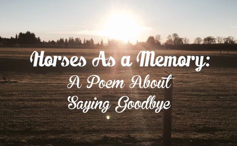 A Poem About Saying Goodbye To A Horse Poems For Boys, Poem About Myself, Horse Riding Quotes, Western Quotes, Riding Quotes, Free Horses, Sorry For Your Loss, Heart Break, Prayer For You