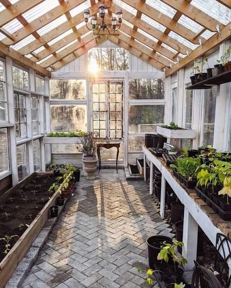 Our diy antique window greenhouse. Prepping for planting. Spring in Michigan. Greenhouse Window Ideas, All Window Greenhouse, Four Season Greenhouse, Window Pane Greenhouse, Dream Greenhouse Interior, Diy Greenhouse Windows, Old Glass Window Greenhouse, At Home Greenhouse, Greenhouse Made Of Windows