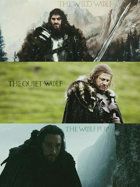 Benjen Stark Fanart, Arms Game, Benjen Stark, Brandon Stark Wild Wolf, Ned Stark Asoiaf Art, Brandon Stark, Ned Stark And Robert Baratheon Art, Lord Eddard Stark, Jon Snow Iron Throne