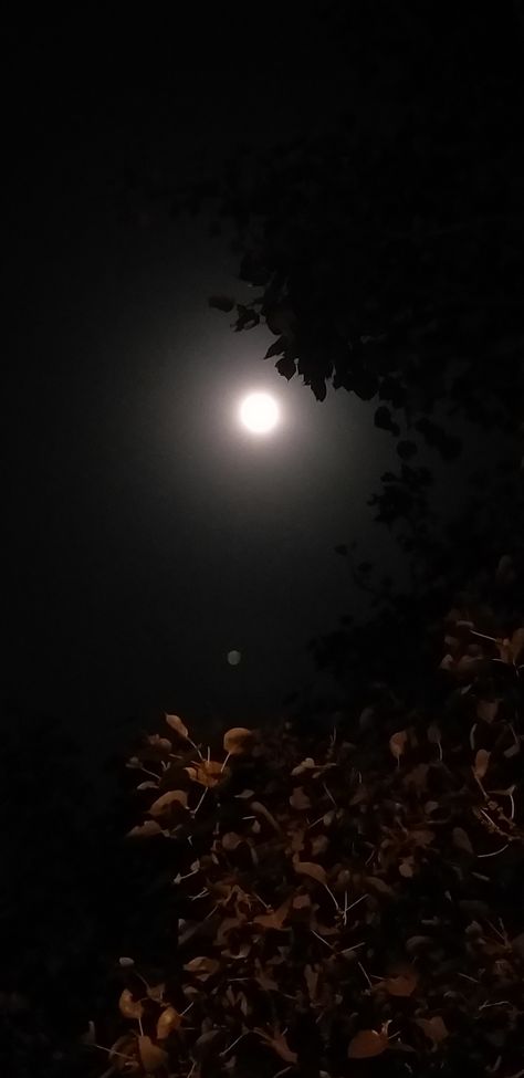 Moon Fake Story Instagram, Fake Moon Snap, Full Moon Snapchat Story, Night Moon Snapchat Story, Full Moon Snap, Moon Snap Stories, Night Moon Snaps, Moon Snapchat Story, Fake Night Snap