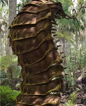 Le Teeri Giant Centipede, Prehistoric Insects, Carboniferous Period, James And Giant Peach, Walking With Dinosaurs, Dinosaur Wallpaper, History Architecture, Prehistoric World, Prehistoric Art