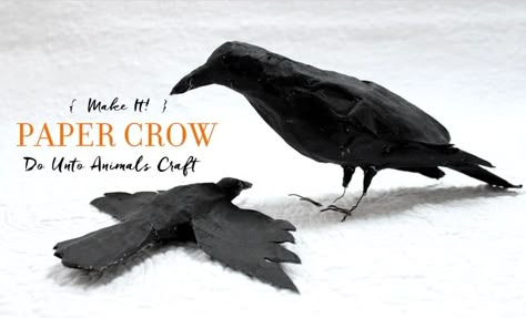 Halloween Crows, Farm Halloween, Hey Friend, Accordion Book, Paper Mache Crafts, Crows Ravens, Paper Birds, Halloween Paper, Animal Crafts