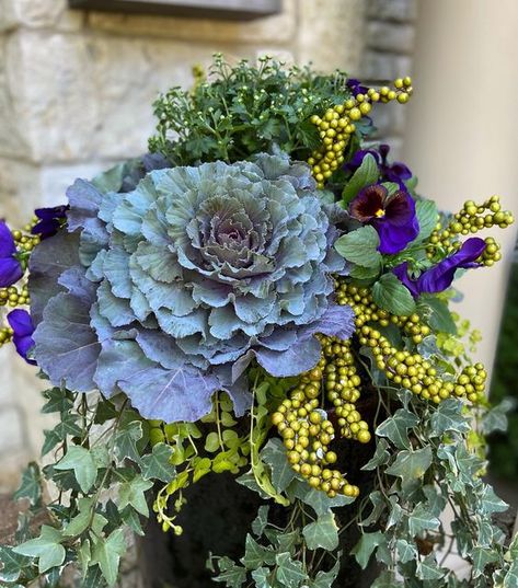 Howard Nemeroff (Owner) on Instagram: "Love for the autumn blues and the mail carrier. Big look for a 12” opening. #curbappeal #fall #autumn #design #landscapephotography #landscapephotography #gardening #containergardening #cabbage #flowing" Zucchini Aesthetic, Outdoor Fall Decorations, Fall Flowers Garden, Garden Mum, Fall Container Gardens, Ornamental Cabbage, Ornamental Kale, Fall Containers, Container Garden Design