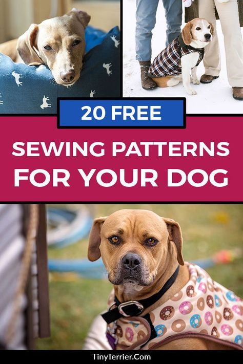 Sewing Projects For Dogs, Dogs Crafts, Patterns For Toys, Dog Jacket Patterns, Free Sewing Projects, Pet Clothes Patterns, Dog Harness Pattern, Dog Clothes Patterns Sewing, Dog Sewing