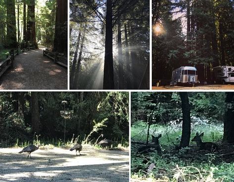 THE 10 BEST Things to Do in Felton - 2019 (with Photos) - TripAdvisor Felton California, What To Do Today, To Do Today, Rv Parks, Pacific Coast, Tourist Attraction, This Weekend, Places To See, Trip Advisor