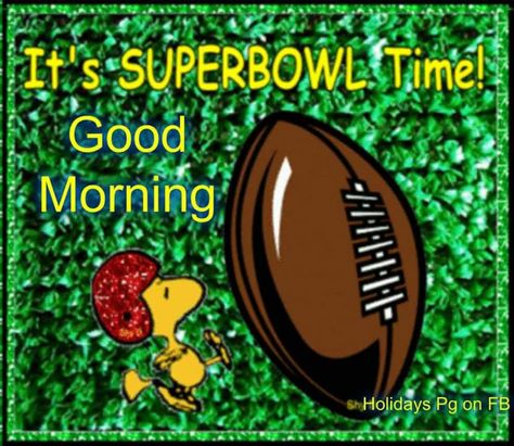 Super bowl Sunday Happy Super Bowl Sunday, Woodstock Peanuts, Spiritual Advisor, Peanuts Cartoon, Snoopy Quotes, Super Bowl Sunday, Sunday Quotes, Snoopy Christmas, Charlie Brown And Snoopy