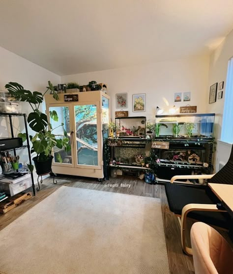 Reptile Room Setup Ideas, Animal Room Ideas, Animal Room Ideas Pets, Reptile Bedroom Ideas, Reptile Bedroom, Reptile Room Ideas, Terrarium Room, Bedroom With Reptile Tank, Reptile Room Aesthetic