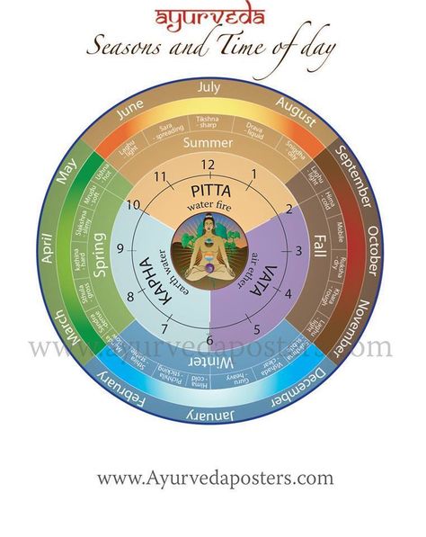 Ayurvedic Dosha Clock and Seasons small Ayurveda Dosha, Ayurveda Vata, Ayurvedic Diet, Ayurveda Life, دورة شهرية, Ayurvedic Recipes, Ayurveda Yoga, Ayurvedic Healing, Yoga World