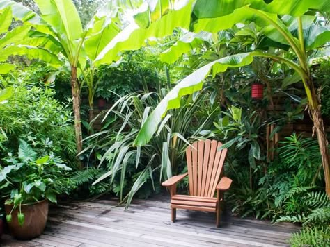 Design A Tropical Back Yard | DK - How to Grow Practically Everything © 2010 Dorling Kindersley ... Tropical Garden Plants, Small Tropical Gardens, Bali Garden, Balinese Garden, Lots Of Plants, Tropical Garden Design, Small Courtyard Gardens, Jungle Gardens, Tropical Backyard