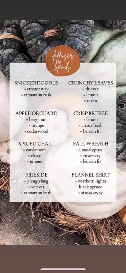 Perfume Roller Blends, Fall Perfume, Perfume Roller, Roller Blends, Essential Oils Herbs, Essential Oil Blends Recipes, Cinnamon Bark, Oil Diffuser Blends, Essential Oil Candles