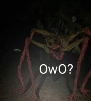 Creepy Meme, Images Terrifiantes, Scary Images, Creepy Core, Creepy Images, Fnaf Memes, Fnaf Funny, Scary Art, What’s Going On