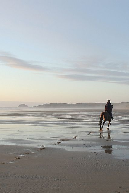 Horse Beach Riding, Beach Rides, Horse Aesthetic, Equestrian Lifestyle, Foto Art, Horse Life, Dream Lifestyle, Horse Photos, Horse Pictures