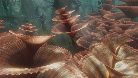 Avatar Wallpaper, Avatar Theme, Avatar Film, Alien Plants, Avatar James Cameron, Avatar Films, Avatar Images, Pandora Avatar, Avatar Movie