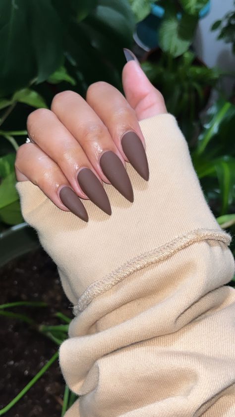 Matte Brown Almond Nails, Brown Stilleto Nails Designs, Brown Sugar Nails, Stiletto Brown Nails, Matte Brown Acrylic Nails, Plain Stiletto Nails, Brown Nails Stiletto, Matte Almond Shaped Nails, Plain Almond Nails