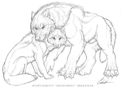 Wolf Base, Wolf Sketch, Werewolf Art, Wolf Drawing, Canine Art, A Wolf, Wolf Dog, Animal Sketches, Wolf Art