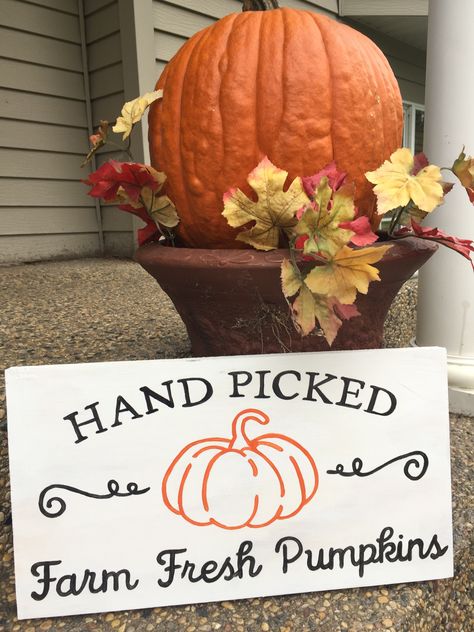 Hand painted pumpkins wood sign Pumpkin Signs, Pumpkin Painted, Hand Painted Pumpkin, Painted Pumpkin, Pumpkin Carving Templates, Pumpkin Sign, Painted Pumpkins, Farm Fresh, Wooden Sign