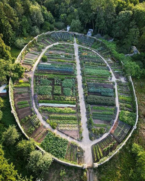 Gravetye Manor on Instagram: "Our Victorian kitchen garden is one of the standout features at Gravetye Manor as not only does it grow cut flowers for our florists, but it also provides the kitchen team with fresh, quality fruit and vegetables 💚 This week we are harvesting beetroots, courgettes, peas, radishes and turnips - all to be used within our seasonal menu! 🌱  #gravetyemanor #gravetyemanorgarden #kitchengarden #sussex" Gravetye Manor, Growing Cut Flowers, Victorian Kitchen, Turnips, Garden Path, Radishes, Courtyard Garden, The Cottage, Kitchen Garden