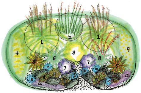 Lovely grass and succulent garden plan (low water use) by Deborah Robertson, State by State Gardening, 12/28/11. Flower Garden Layouts, Ponds For Small Gardens, Herbal Tea Garden, Small Herb Gardens, Flower Garden Plans, Medicinal Herbs Garden, Biennial Plants, Backyard Garden Layout, Herb Garden Design