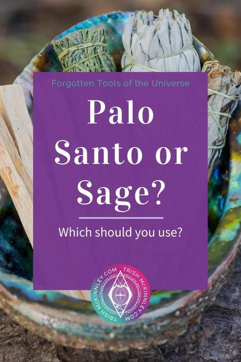 Best Sage To Burn, Sage And Palo Santo Smudging, How To Burn Sage, When To Burn Palo Santo, Sage Vs Palo Santo, How To Burn Sage In Home, When To Burn Sage, Palo Santo Smudging, Sage Burning