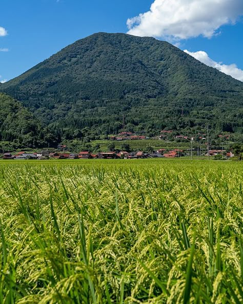 Japan Country Side Aesthetic, Country Side Japan, Weird Landscapes, Japanese Country Side, Japanese Countryside House, Anonymous Aesthetic, Shimane Japan, Japanese Island, Japanese House Design