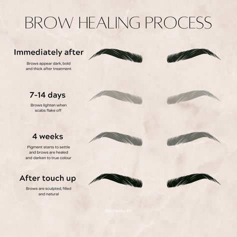 Pmu Brows Healing Process, Pmu Marketing Ideas, Pmu Content Ideas, Brow Healing Process, Ombre Brows Healing Process, Permanent Makeup Room, Microblading Healing Stages, Pmu Content, Pmu Branding