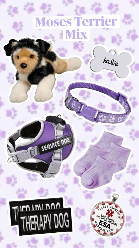 Emotional Support Dog, Maybe In Another Life, Emotional Support Animal, Moodboard Aesthetic, Dog Stuffed Animal, Silly Dogs, Dog Items, Therapy Dogs, Dessin Adorable