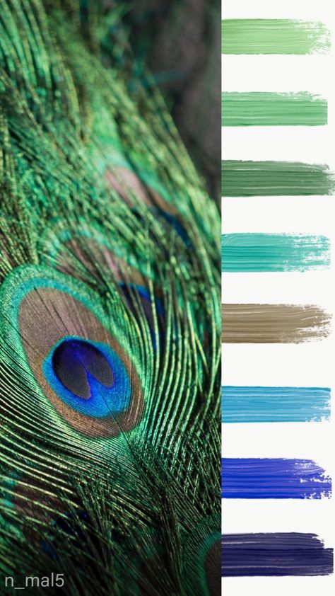 Colour Palette Peacock, Peacock Colours Palette, Peacock Colours Living Room, Peacock Palette Colour Schemes, Color Palette Peacock, Peacock Green Color Palette, Peacock Color Scheme Living Room, Peacock Blue Color Scheme, Peacock Colour Palette