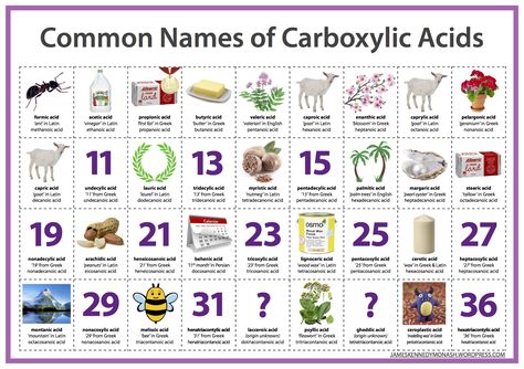 Chemistry Organic, Organic Chem, Medicinal Chemistry, Food Chemistry, Study Chemistry, Chemistry Classroom, Carboxylic Acid, Teaching Chemistry, Chemistry Lessons