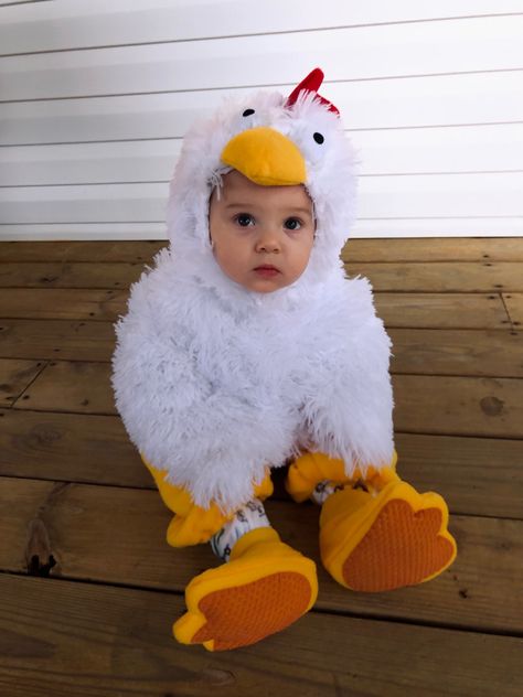 Newborn Chicken Costume, Baby Chicken Halloween Costume, Chicken Halloween Costume, Baby Chick Photoshoot, Ideas Disfraz, Chicken Halloween, Baby Chicken, Baby Chickens, Halloween Costume