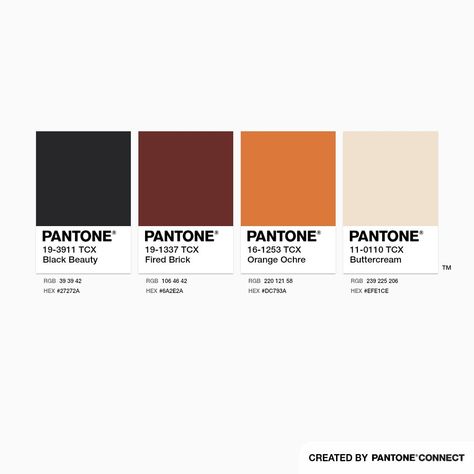 Orange Black Beige Color Palette, Brick Orange Color Palette, Orange And Black Color Scheme, Black White Rust Color Palette, Dark Orange Colour Palette, Orange Black Colour Palette, Black Brown Orange Color Palette, Orange Black Palette, Black And Orange Color Palette