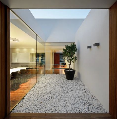 josepcamps | olgafelip, Pedro Pegenaute · Casa Sifera · Divisare Design Per Patio, Internal Courtyard, Glass Walls, Patio Interior, Courtyard House, Interior Garden, Design Case, Outdoor Design, Contemporary Architecture