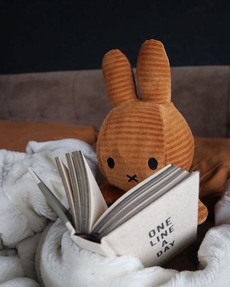 Miffy Reading, Reading Aesthetics, Ugc Content Creator, Aesthetics Tumblr, Details Aesthetic, Ugc Content, Parisian Lifestyle, Using Pinterest, Create A Board