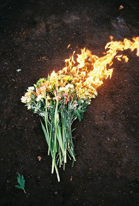 On The Ground, Flowers