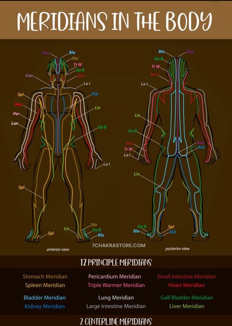 Meridian Lines Body Pressure Points, Body Meridian Chart, Meridians Points Charts, Energy Body Spiritual, Emotions In The Body Chart, Meridians Energy Charts, Meridian Healing, Meridian Pathways, 12 Meridians