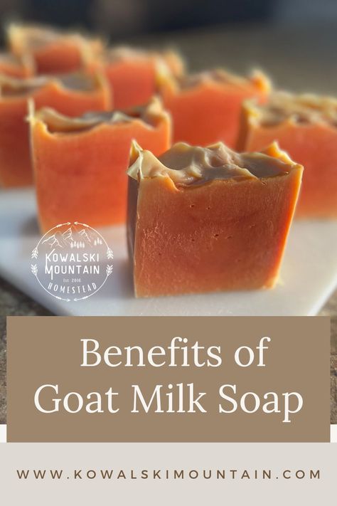 bars of homemade goat milk soap Make Goat Milk Soap, Benefits Of Goat Milk, Goat Milk Soap Recipe, Goats Milk Soap Base, Simple Products, Dig Deeper, The Homestead, Homemade Soap, Soap Base