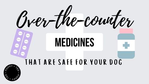 Learn what over-the-counter medicines are safe to give your dog when feeling unwell. Shop essentials for your dog at Poppy + Ted today. Over The Counter Meds For Dogs, Safe Medicine For Dogs, Dog Medicine Over The Counter, Medicine For Dogs Over The Counter, Medicine Safe For Dogs, Dog Over The Counter Meds, Melatonin For Dogs, Medications For Dogs, Human Medicine Safe For Dogs