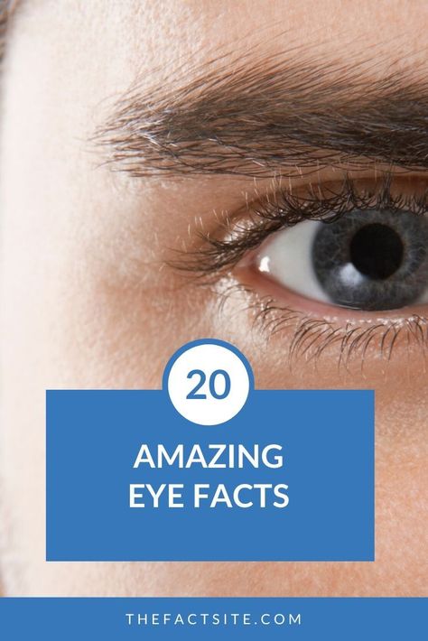 20 Amazing Eye Facts Facts About Blue Eyes, Remedies For Itchy Eyes, Blue Eye Facts, Eye Color Facts, People With Blue Eyes, Body Facts, Eye Facts, Eye Anatomy, Eye Meaning