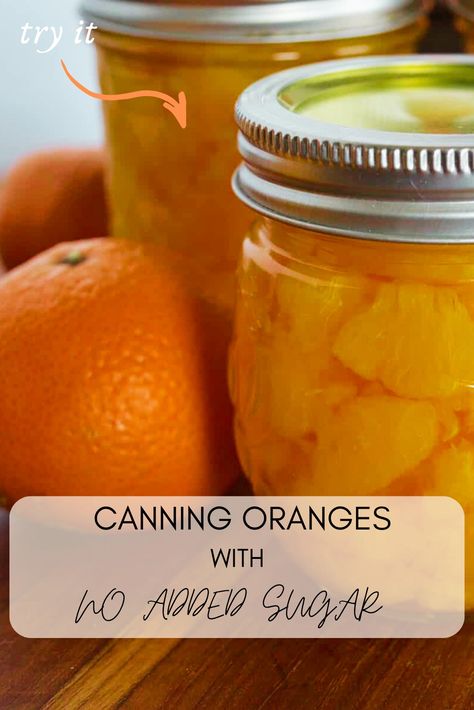 Have you ever tried canning oranges? Learn how to preserve oranges with no added sugar and make them shelf stable for months with this easy tutorial! How To Can Oranges, Can Oranges, How To Can Mandarin Oranges, Canning Oranges Recipes, How To Preserve Mandarin Oranges, Orange Preserves Recipe, What To Do With Oranges Going Bad, How To Preserve Oranges, How To Use Up Oranges