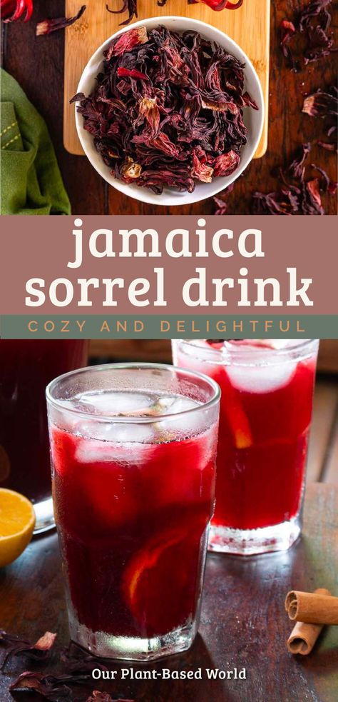 Unleash your creativity with this in-depth guide that dives deep into the fascinating world of sorrel drinks. Explore the history, health benefits, and unique flavors of this festive beverage, plus discover how to master the art of crafting your very own sorrel drink! Sorrel Juice Recipe, Sorrel Benefits Health, Benefits Of Sorrel, Jamaican Sorrel Drink Recipe, Sorrel Drink Recipe, Vegan Cabbage Recipes, Traditional Christmas Drinks, Comfort Drinks, Sorrel Recipe