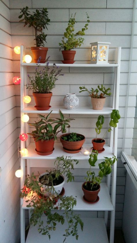 Planter Ideas Indoor, Plant Stand For Small Balcony, Aesthetic Balcony Garden, Mini Garden Ideas, Plant Balcony Aesthetic, Balcony Garden Ideas Indian, Indian Apartment Balcony Garden, Apartment Balcony Garden, Pocket Garden