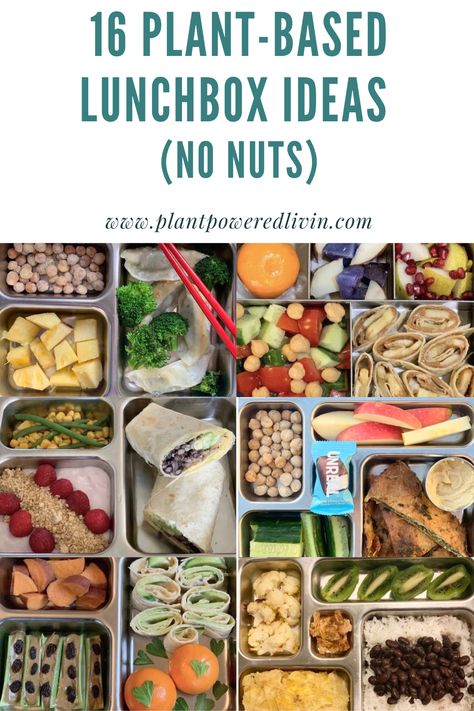 Looking for new school lunch ideas? I've got you covered! Gluten Free Vegan Lunch Box Ideas, Vegan Kids Lunch Box Ideas, Vegetarian Kids Lunch, Vegan School Lunch Ideas, Nut Free Kids Lunch, Easy Peanut Free School Lunches, Plant Based Kids Lunch Box Ideas, Vegan School Lunch, Vegetarian Lunchbox