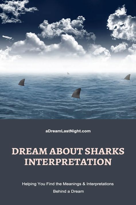 Dream About Sharks: What Does It Mean to You? Shark Meaning, Shark In The Ocean, Ancient Egypt Pyramids, Egypt Pyramids, High Tension, Your Spirit Animal, Dream Meanings, Apex Predator, Chasing Dreams