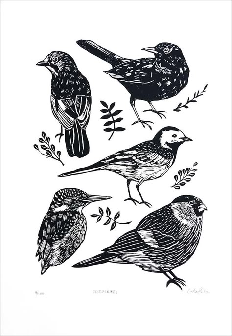 Lino Art, British Birds, Linocut Art, Cabbages, Bird Art Print, Bird Drawings, Bird Illustration, Lino Print, Linoleum