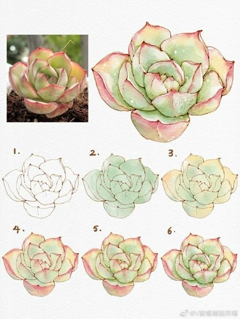 Botanical Watercolor Tutorial, Succulent Art Drawing, Watercolor Tutorial Step By Step, Chinese Watercolor Painting, Watercolor Practice, Plant Watercolor, Flower Drawing Tutorials, Watercolor Flowers Tutorial, Watercolor Succulents