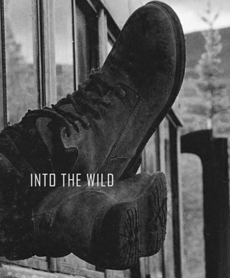 Chris Mccandless, Christopher Mccandless, Wild Movie, Anne With An E, Alternative Movie Posters, Into The Wild, Wild Nature, Through The Looking Glass, Film Posters